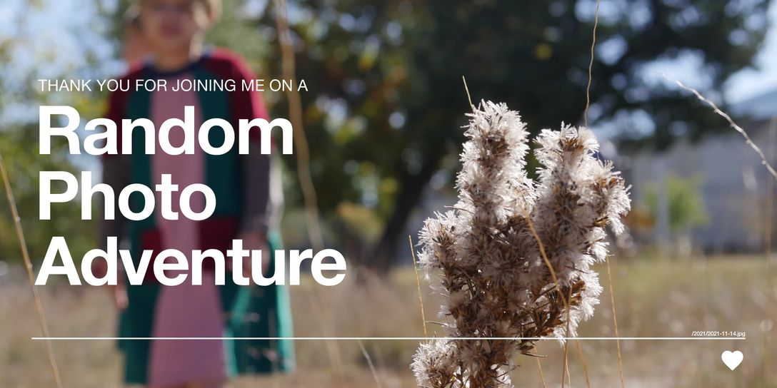 An image of an out of focus child behind a sharply focused wildflower. Text overlays the image reading: Thank you for joining me on a Random Photo Adventure